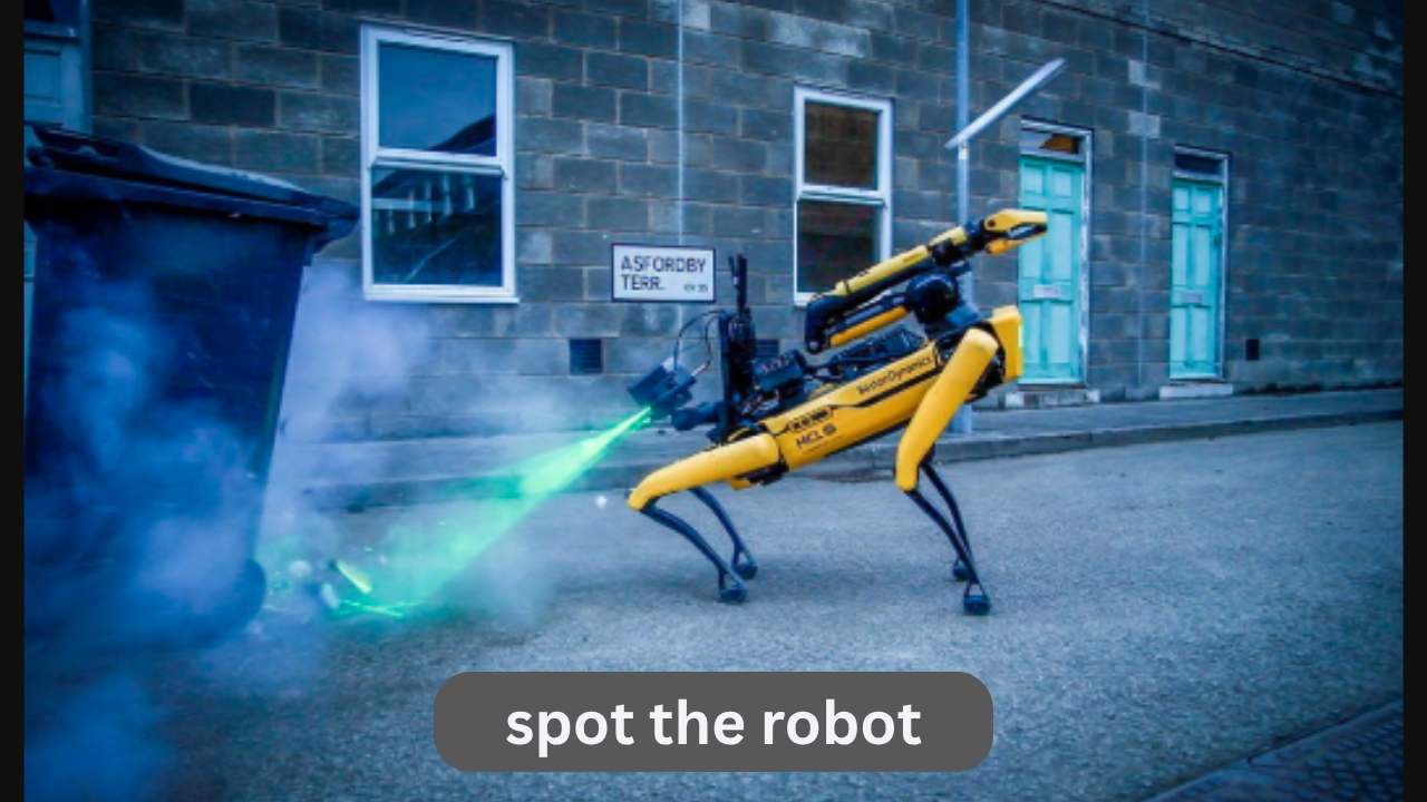 Spot the Robot 2025