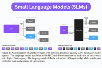small Language Models (SLMs)